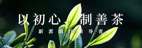 团结丫口古茶 | 灵韵妙境，2024·团结丫口品鉴会圆满结束——大连站